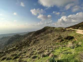Wycieczka fakultatywna, Marathon Jeep Safari - Narodowy Park Akamas z Pafos