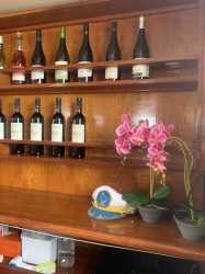 !tr_error=pl->rejs!, Wycieczka Dream of Turtles ST Georgios II rejs poranny z Protaras - marzenie zobaczyć żółwie dla rodzin