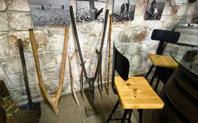 Wycieczka jednodniowa, Wycieczka Szlakiem Cypryjskich Winnic - Sterna Winiarnia