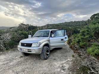 Wycieczka jednodniowa, Z Limassol do wąwozu Avakas Kanyon Mini Marathon